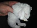 IMG_20160203_180225