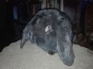 IMG_20160203_174531