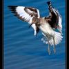 108527_9f136557de59cee1aa4e812d83205a28_mdsq