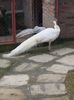 20160204_125648