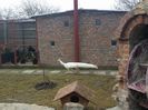 20160204_125700