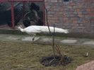 20160204_125703