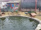 20160204_125718