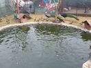 20160204_125722