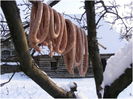 carnati domnesti-Maramures_