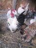 20160130_082305