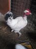 20160130_082240