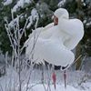 108747_d84f38b65ce813267324419ab7c2ba0a_mdsq