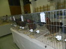 DSCN0083