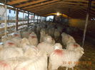 Picture 022