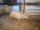 Picture 023