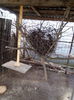 IMG_20160204_105040