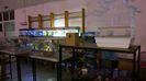 20160204_215214