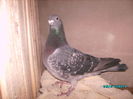 28301632_VJKEPMXJX