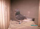 28301798_TKVCJIMJM (1)