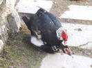 DSCF6482
