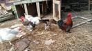 20160205_172727