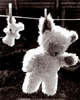 u-dresing-teddy-bear-drying