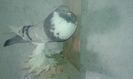 20160206_114631
