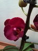 IMG_20160206_124957