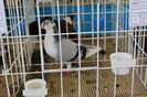IMG_1030