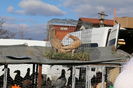 IMG_1061