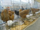 DSCN0191