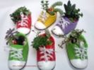 thumbs_adidas-ceramic-cu-plante-suculente_-4