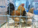 IMG_20160207_092756