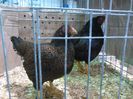 IMG_20160207_092821