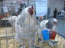 IMG_20160207_093010