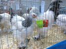 IMG_20160207_093019