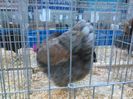 IMG_20160207_093408