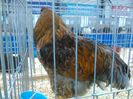 IMG_20160207_093417