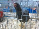 IMG_20160207_093530