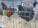 IMG_20160207_093557