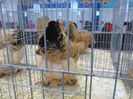 IMG_20160207_094345