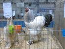 IMG_20160207_094452