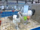 IMG_20160207_094458