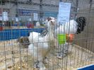 IMG_20160207_094501