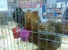 IMG_20160207_094521