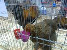 IMG_20160207_094525