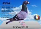 RO 564529-2011 AS$A