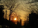 DSCN7924