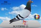 RO 978981-13