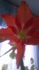 WP_20160205_002