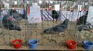 20160207_114937