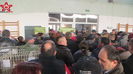 237287 vizite