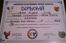 diploma grand champion femela 1