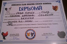 diploma colectie BHD 382 P
